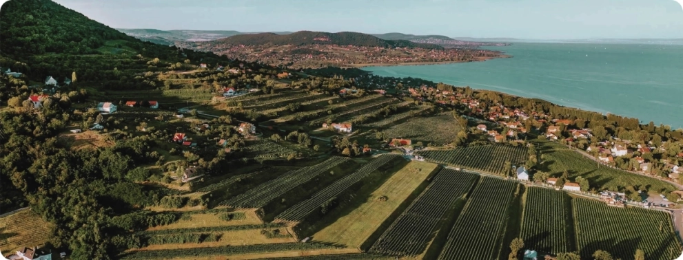 Wine tours